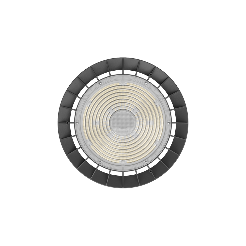 HB81-01 (6)_web.jpg